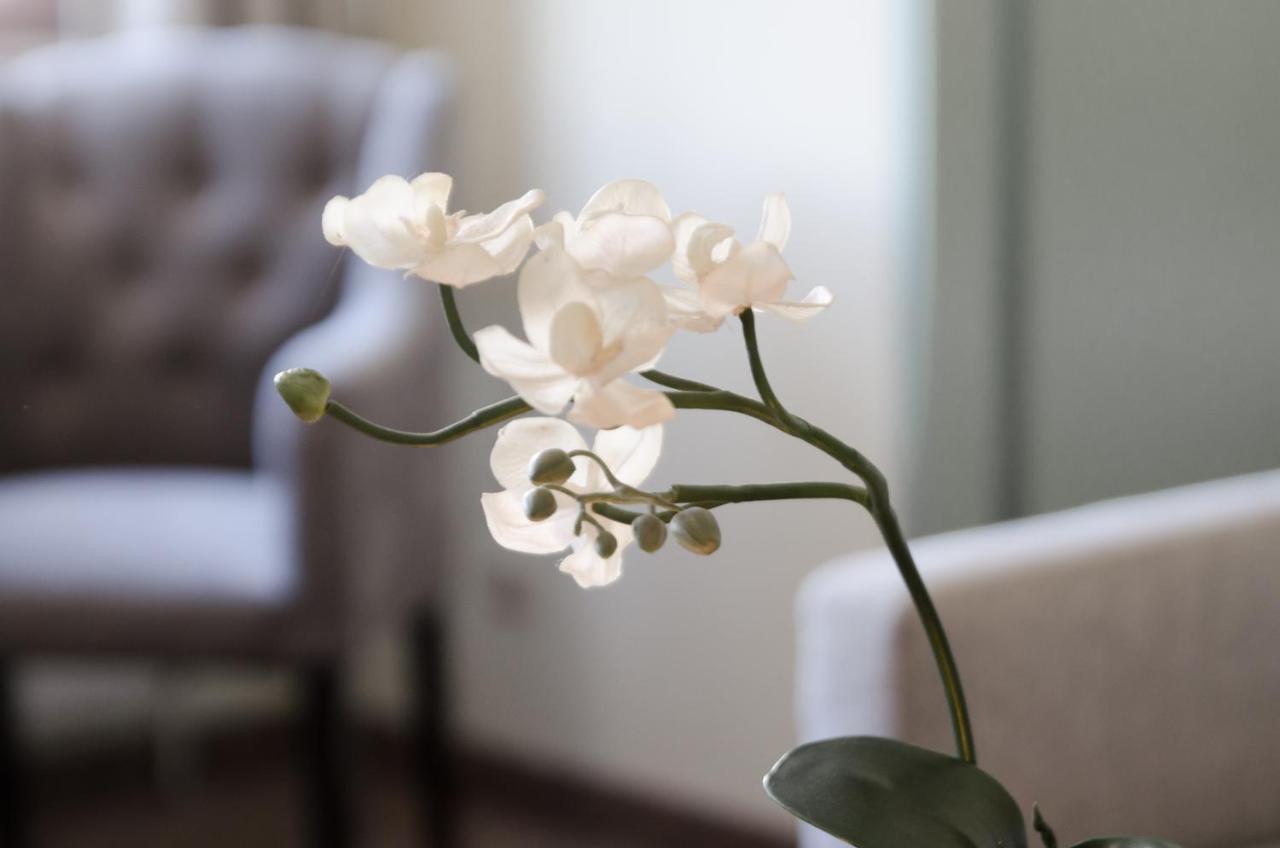 Neukirchen am Großvenediger Hotel Unterbrunn Apartments & Gaestehaus מראה חיצוני תמונה